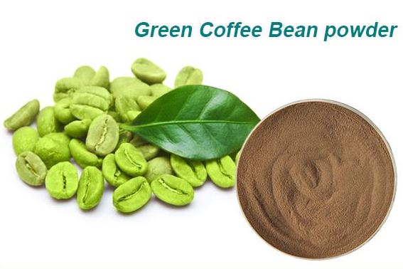 green coffee bean extract powder green coffee bean extract powder