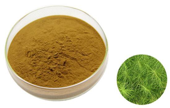what is horsetail good for