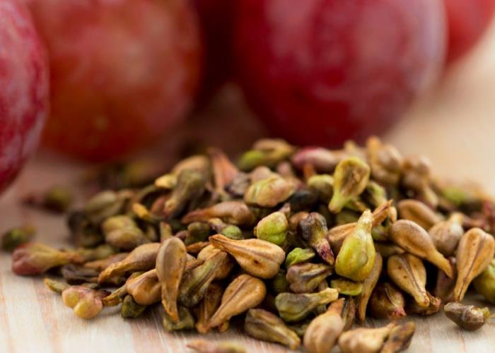 Swyddogaeth Opc Grape Seed Detholiad mewn Harddwch a Gofal Croen