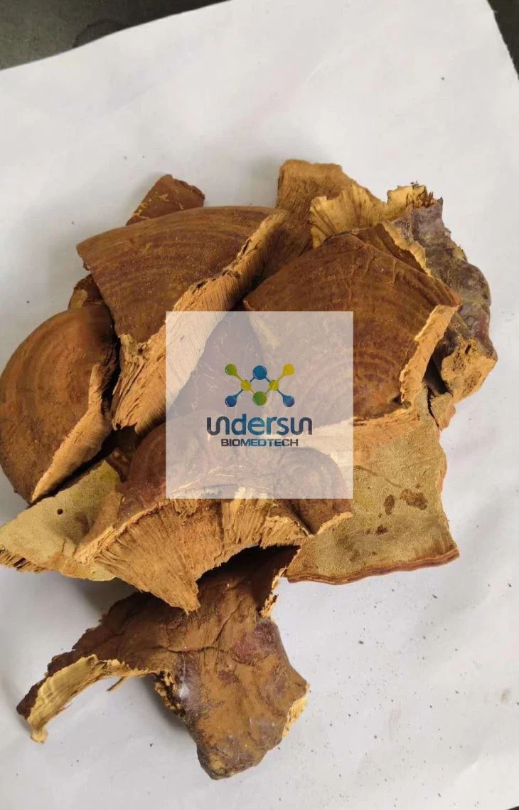 Ganoderma lucidum extract manufacturers