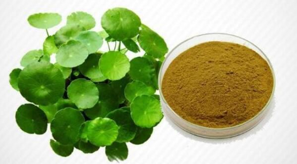 Beth yw Centella Asiatica?