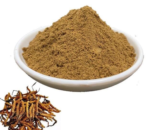 Detholiad Madarch Cordyceps