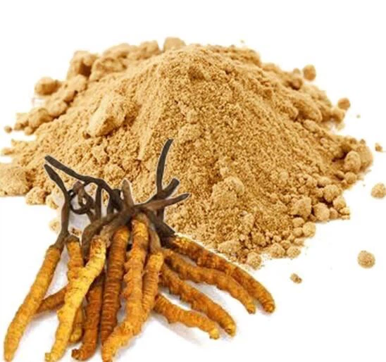 Powdr Sinensis Cordyceps
