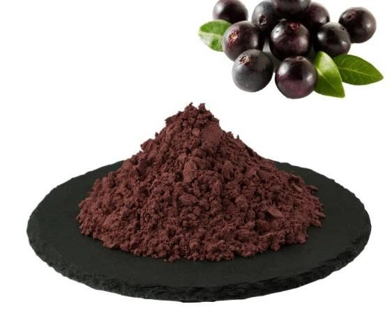 Powdr Acai Organig