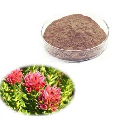 Echdynnu Gwreiddiau Rhodiola Rosea