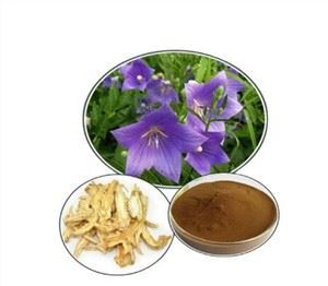 Darn Clychau'r Blodau