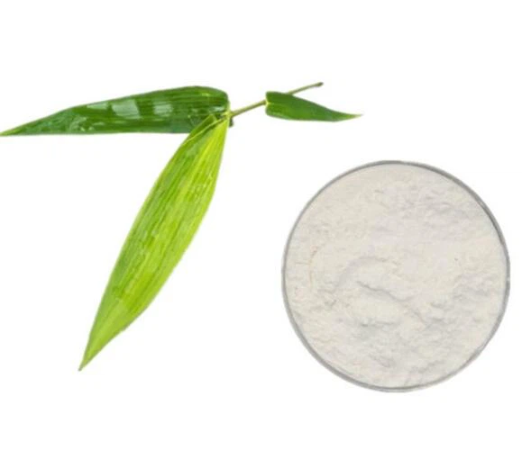 Detholiad Silica Bambŵ