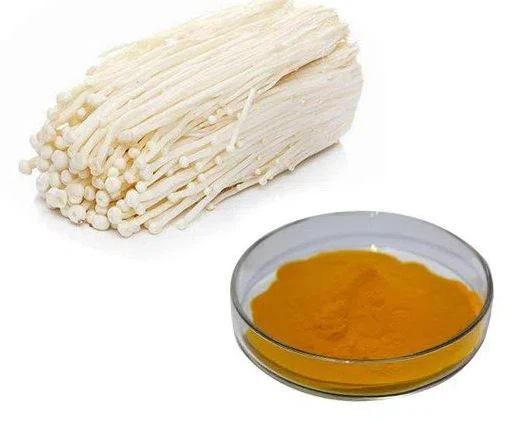 Powdwr Madarch Enoki