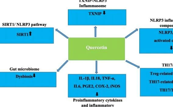 Quercetin Covid 19