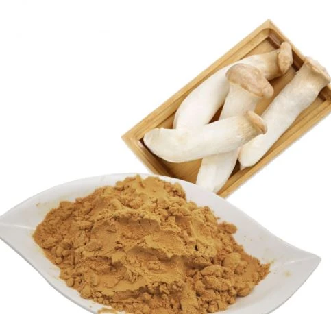 Detholiad Pleurotus Eryngii