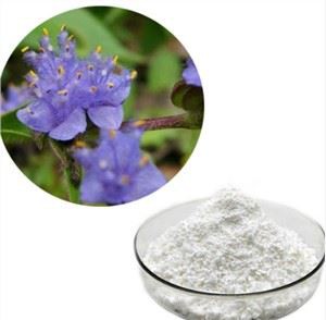 Detholiad Cyanotis Arachnoidea