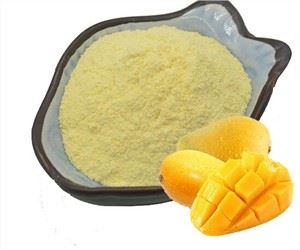 Powdwr Hadau Mango Sych