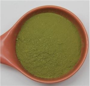 Cyfanwerthu Powdr Matcha