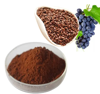 Detholiad Hadau Grawnwin 95 Proanthocyanidins